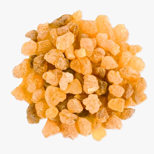 لوبان
