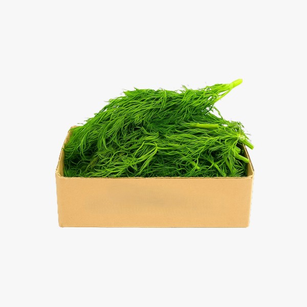 Besbes box